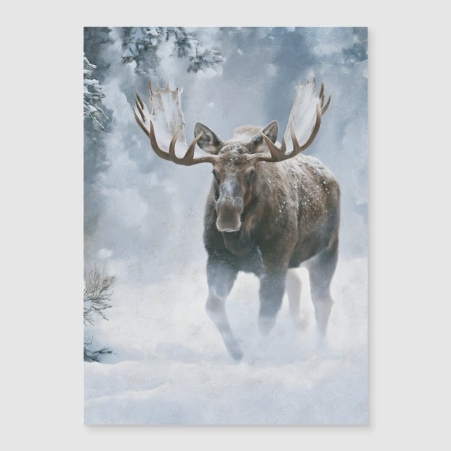 Orignal mâle marchant dans la neige boréale (Devant)