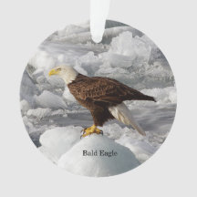 Ornamet acrylique de Bald Eagle