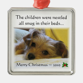 Ornement 2010 de Noël de Lucy