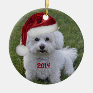 Ornement 2014 de Bichon Frise