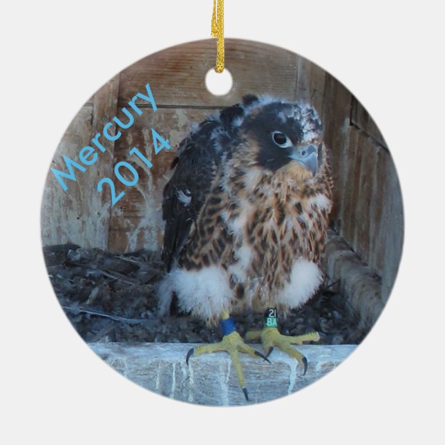 Ornement 2014 de Mercury (Dos)