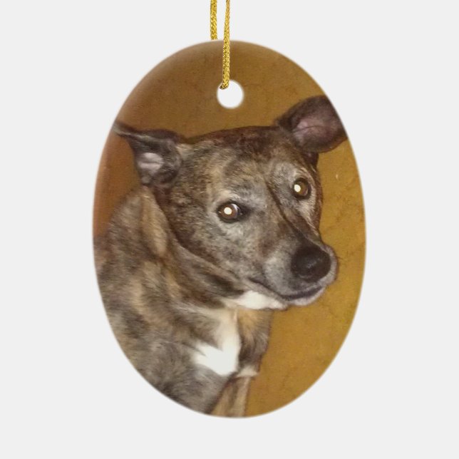 Ornement #6 d'hommage de Robert Hoynes (Dos)