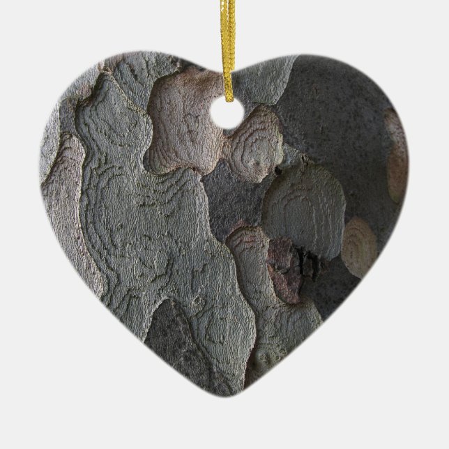 Ornement abstrait de macro d'écorce d'arbre (Devant)