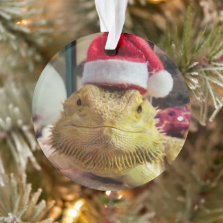 Ornement acrylique Bubbs père Noël