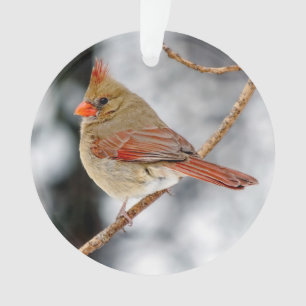 Ornement acrylique cardinal féminin du Nord