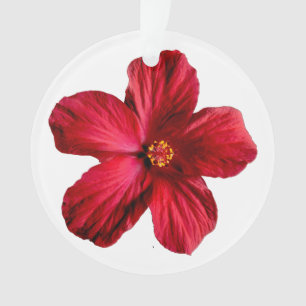 Ornement acrylique Cercle de fleurs Hibiscus rouge