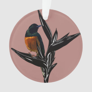 Ornement acrylique de l'oiseau Shama à poil blanc