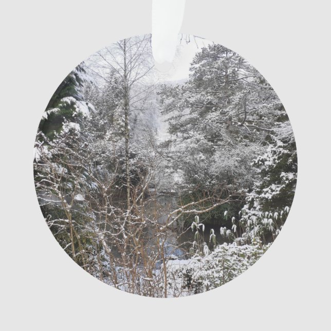 Ornement acrylique des arbres neigeux (devant)