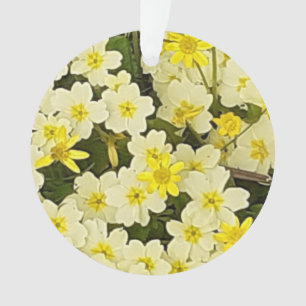 Ornement acrylique des primeurs de printemps