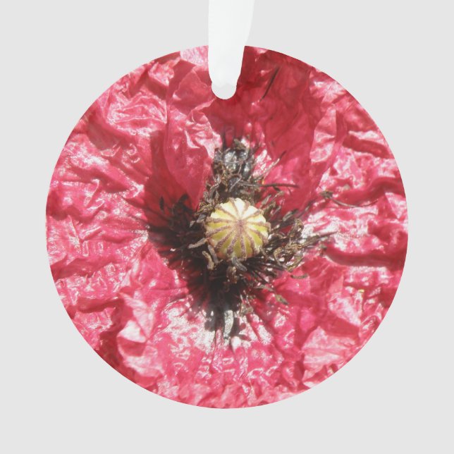 Ornement acrylique Macro-fleur de coquelicot rouge (devant)
