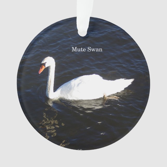 Ornement acrylique Mute Swan (devant)
