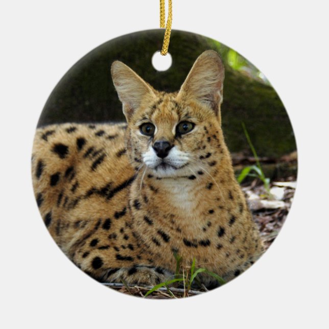 Ornement africain de Noël de Serval (Devant)