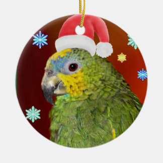 Ornement Amazon Parrot Père Noël