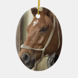 Ornement arabe de cheval