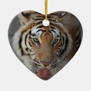 Ornement Baisers de Tigre