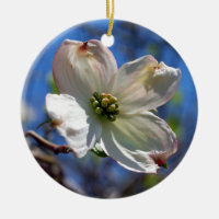 Ornement blanc de fleur de cornouiller