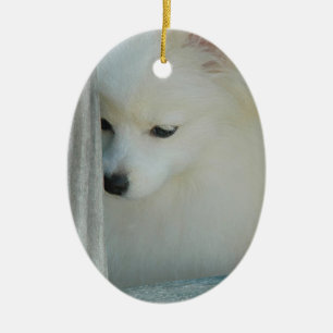 Ornement blanc de Pomeranian