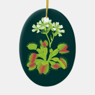 Ornement botanique d'art d'attrape-mouche de Vénu