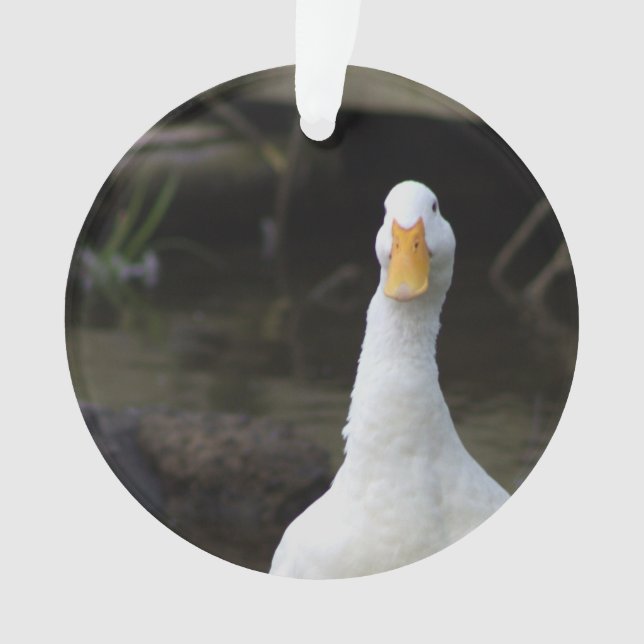 Ornement Canard Blanc (devant)