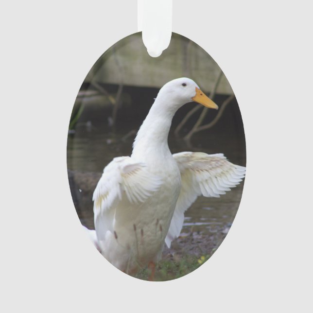 Ornement Canard Blanc (devant)