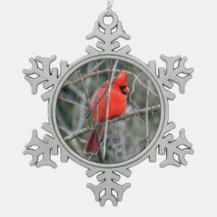 Ornement cardinal rouge royal de Noël