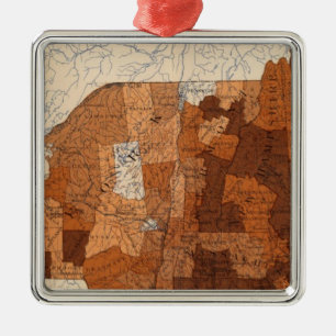 Ornement Carré Argenté 107 Influenza NY, New England