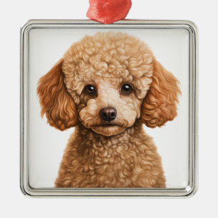 ORNEMENT CARRÉ ARGENTÉ ADORABLE APRICOT CHIEN POODLE FRANÇAIS