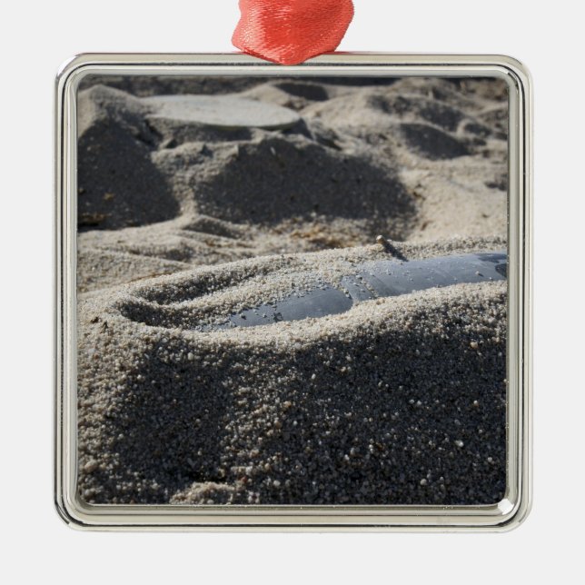 Ornement Carré Argenté Affichage statique d'une coque de commande (Devant)