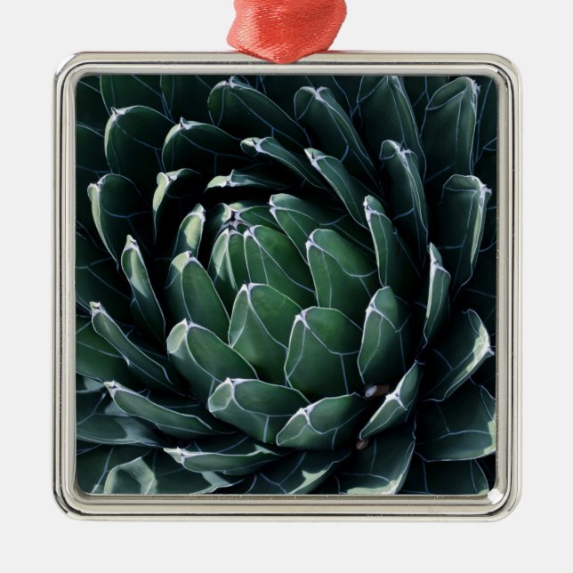 Ornement Carré Argenté Agave vert (Devant)