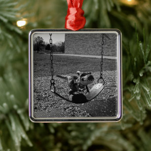 Ornement Carré Argenté Aire de jeu Tyrannosaurus TREX Dinosaur Drôle