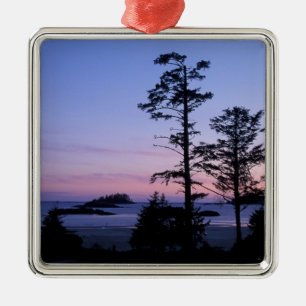 Ornement Carré Argenté Amérique du Nord, Canada, île de Vancouver, arbres