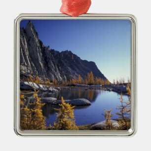 Ornement Carré Argenté Amérique du Nord, États-Unis, Washington, Enchan