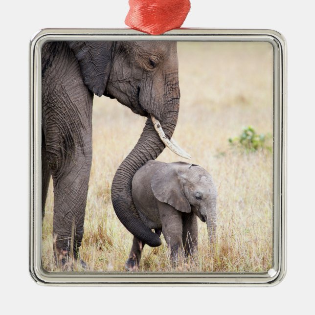 Ornement Carré Argenté Amour maternel (Devant)