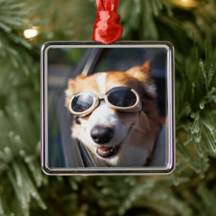 Ornement Carré Argenté Animaux de bébés cutest Corgi lunettes dans la v