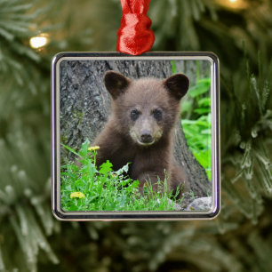 Ornement Carré Argenté Animaux de bébés cutest Cube d'ours Brown