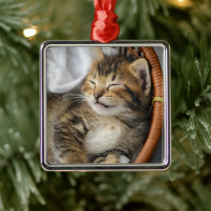 Ornement Carré Argenté Animaux de bébés cutest Cute Tabby Chat Dormir