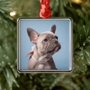 Ornement Carré Argenté Animaux de bébés cutest French Bulldog Pink Bow