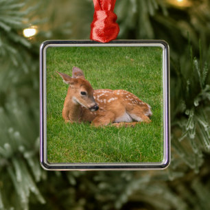 Ornement Carré Argenté Animaux de bébés cutest Little Fawn
