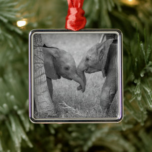 Ornement Carré Argenté Animaux de bébés cutest Salutation des éléphants