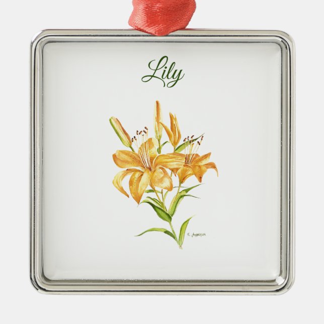 Ornement Carré Argenté Aquarelle de tigre orange (Devant)