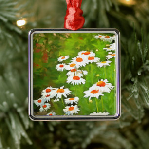 Ornement Carré Argenté Artistic Bright and Colorful White Garden Daisies