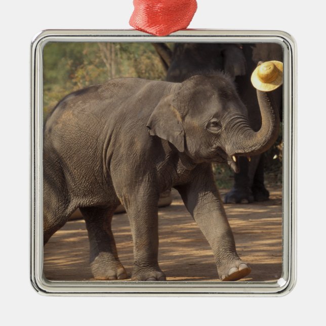 Ornement Carré Argenté Asie, Thaïlande, Lampang Bowing avec casquette - T (Devant)