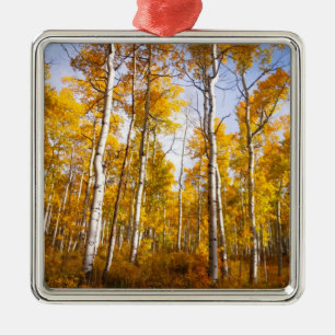 Ornement Carré Argenté Aspen Groove Feuilles de automne jaunes