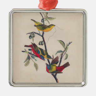 Ornement Carré Argenté Audubon Peint Bunting Bird Wildlife