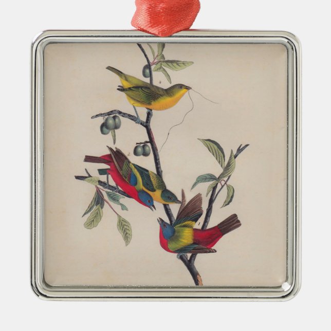 Ornement Carré Argenté Audubon Peint Bunting Bird Wildlife (Devant)