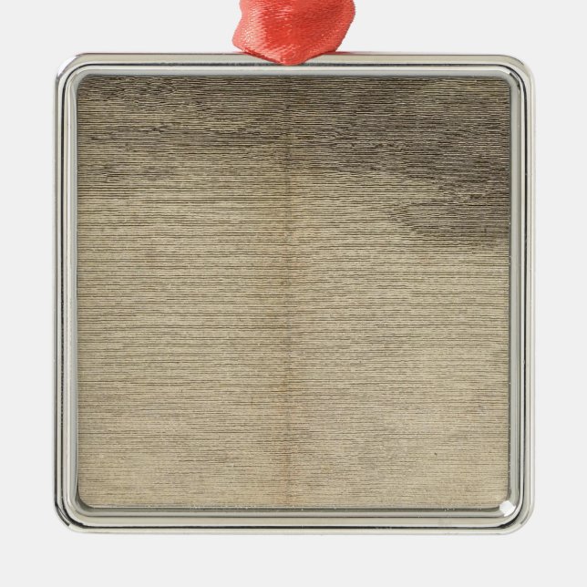 Ornement Carré Argenté Baie de possession, la Géorgie du sud (Devant)