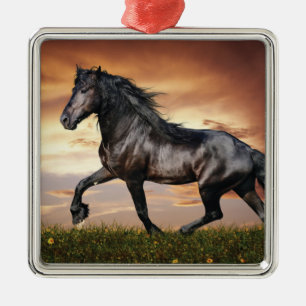 Ornement Carré Argenté Beau Cheval Noir