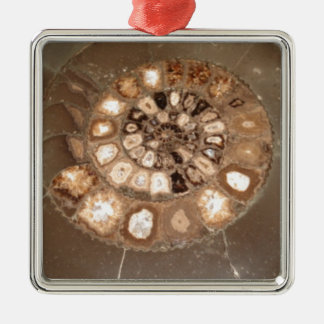 Ornement Carré Argenté Beau Dactylioceras à l'ammnite fossile