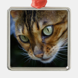 Ornement Carré Argenté Beautiful Bengal Cat