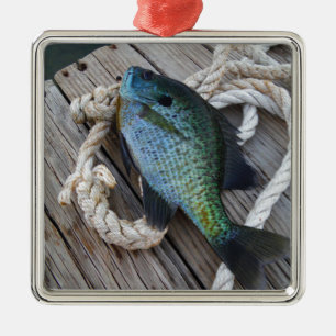 Ornement Carré Argenté bluegill sur quai